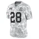 Men's AJ Dillon Arctic Camo Limited 2024 Salute to Service Football Jersey