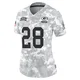 Women's AJ Dillon Arctic Camo Limited 2024 Salute to Service Football Jersey